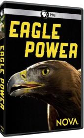 NOVA Eagle Power 1080p HDTV x264 AAC