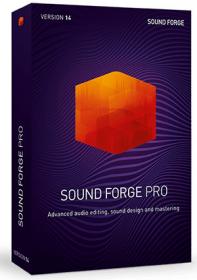 MAGIX Sound Forge Pro 14.0 Build 65