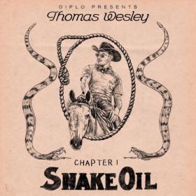 Diplo - Diplo Presents Thomas Wesley Chapter 1_ Snake Oil (2020) [320]