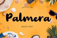 Palmera Brush Font