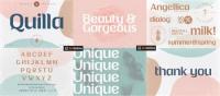 Quilla multipurpose elegant font