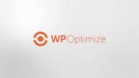 WP-Optimize Premium v3.1.1 - Keep Your Database Fast Efficient - NULLED