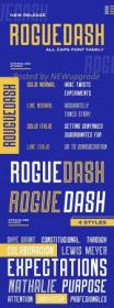 Creativermarket - Roguedash - Stylish Sans Font Family 5040021