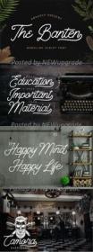 Creativermarket - The Banten - Monoline Script Font 5040767