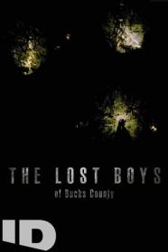 The Lost Boys of Bucks County 2020 720p WEBRip 800MB x264-GalaxyRG[TGx]