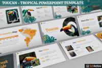Toucan - Tropical Powerpoint Template