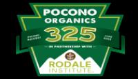 NASCAR Cup Series 2020 R14 Pocono Organics 325 Race FOX 720P