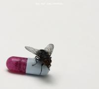 Red Hot Chili Peppers- I'm With You- [2011]- Mp3ViLLe