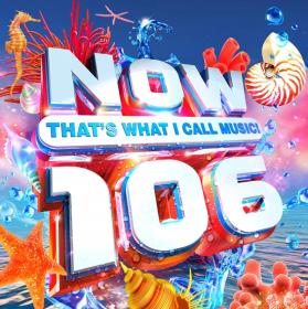 NOW Thats What I Call Music! 106 (2020) Mp3 320kbps [PMEDIA] ⭐️