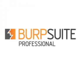 Burp Suite Professional 2020.6 Build 3105 + Loader