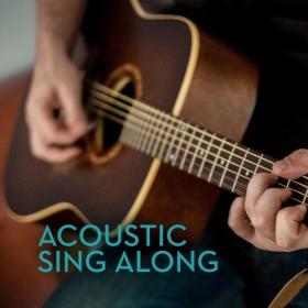 VA - Acoustic Sing Along (2020) Mp3 (320kbps) [Hunter]