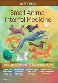 Small Animal Internal Medicine 6th Edition