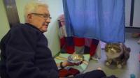 Paul O Grady For the Love of Dogs S09E01 XviD-AFG[eztv]