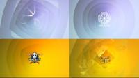 Videohive - Elegant Clean or Glitch Logo Intro 26153537