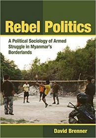 Rebel Politics - A Political Sociology of Armed Struggle in Myanmar's Borderlands