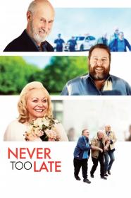 Never Too Late (2020) [1080p] [WEBRip] [YTS]
