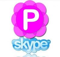 Pamela.for.Skype.Professional.&.Business.Edition.v4.8.0.42-ismail