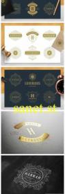 36 Luxury Ornament Logos 4555239