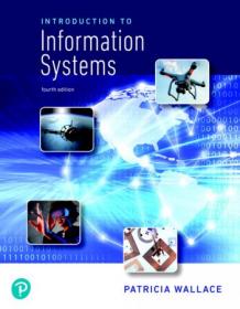 Introduction to Information Systems, 4th Edition