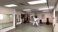 Udemy - World USA karate, orange belt