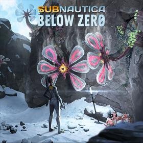 Subnautica Below Zero by xatab