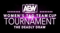 AEW Womens Tag Team Cup Tournament Night 1 3rd August 2020 1080p WEBRip h264-TJ