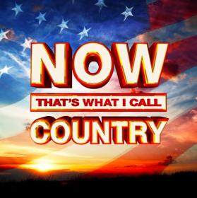 VA - NOW That's What I Call Country (2020) Mp3 320kbps [PMEDIA] ⭐️