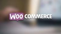 Udemy - The Complete WooCommerce Course for Beginners (Step by Step)