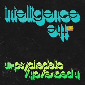 (2019) The Intelligence - Un-Psychedelic in Peavey City [FLAC]