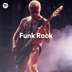 60 Tracks  Funk Rock Songs Playlist Spotify  [320]  kbps Beats⭐