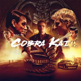 Cobra Kai S01 1080p AMZN WEB-DL DDP5.1 H.264-NTG_Kyle