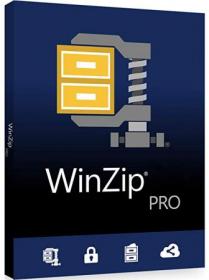 WinZip Pro v25.0 Build 14245 (x64) + Fix