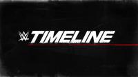 WWE Timeline S01E05 By Any Means Necessary 1080p WEBRip h264-TJ