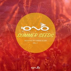 VA - Summer Seeds [Selection By Cubixx & Sun] Vol 1 (2020) MP3