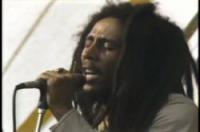 BOB MARLEY & THE WAILERS HARVARD STADIUM (1979) DVDR NLT-Release (divx)