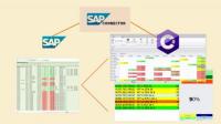 Udemy - SAP Data in .NET C# through SAP Connector