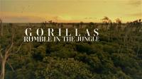 Gorillas Rumble In The Jungle 1080p HDTV x264 AAC