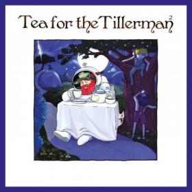 Yusuf Cat Stevens - Tea For The Tillerman² (2020) Mp3 320kbps [PMEDIA] ⭐️