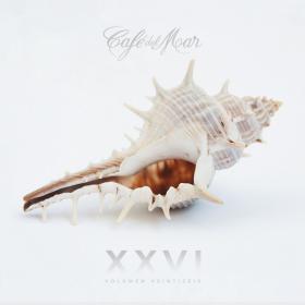 VA - Cafe del Mar XXVI (2020) FLAC