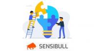 Udemy - How to Trade Options Strategies by Sensibull