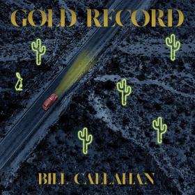 (2020) Bill Callahan - Gold Record [FLAC]