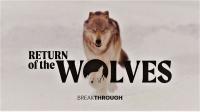 Breakthrough Return of the Wolves 1080p HDTV x264 AAC