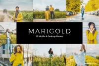 20 Marigold Lightroom Presets & LUTs