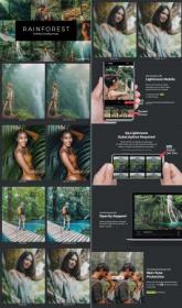 20 Rainforest Lightroom Presets & LUTs