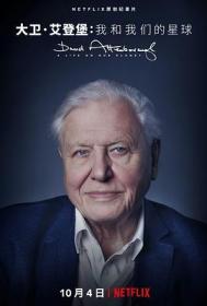 Å¤§å«Â·çˆ±ç™»å ¡ï¼šåœ°çƒä¸Šçš„ä¸€æ®µç”Ÿå‘½æ—…ç¨‹ David Attenborough A Life on Our Planet 2020 English HD1080P x264 DD 5.1 ä¸­æ–‡å­—å¹• CHS taobaobt