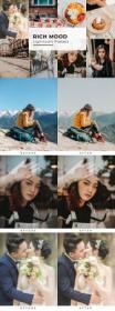 CreativeMarket - 10 Rich Mood Lightroom Presets 5435088