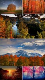 Fall scenery wallpaper (Pack 34)