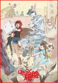 Hataraku Saibou (2018, XviD BDRip, RUS JAP+SUB)