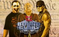 TNA Bound For Glory 2011 HDTV x264-RUDOS