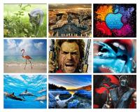 55 Best Impressive Full HD Wallpapers 1920 x 1080 Pack- 21